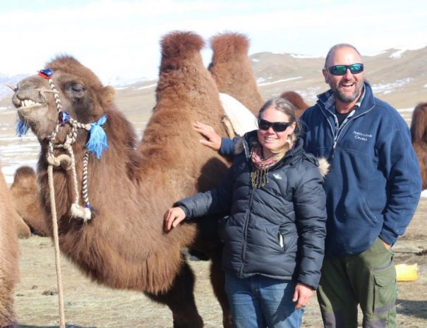 camel_connection_6