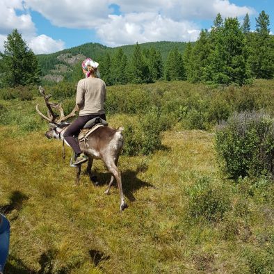 riding reindeer